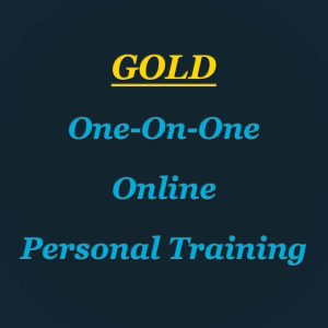 One on One online personal training