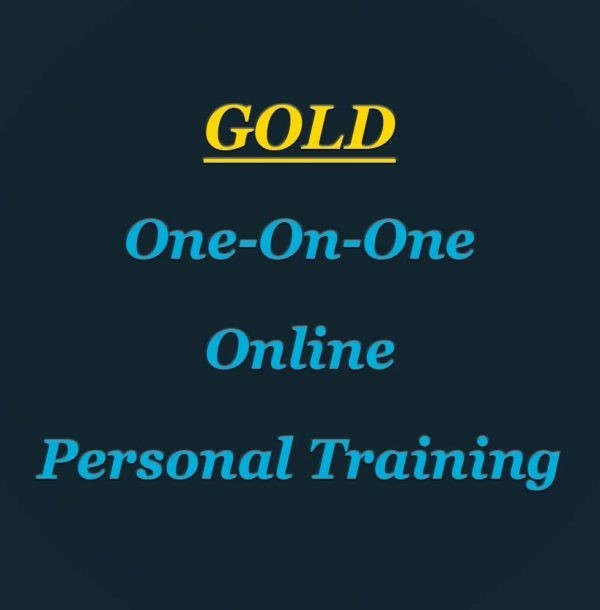 One on One online personal training